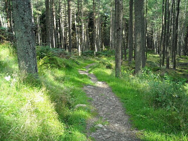 Path in Strathyre Forest Path leading down from Beinn an t-Sidhein