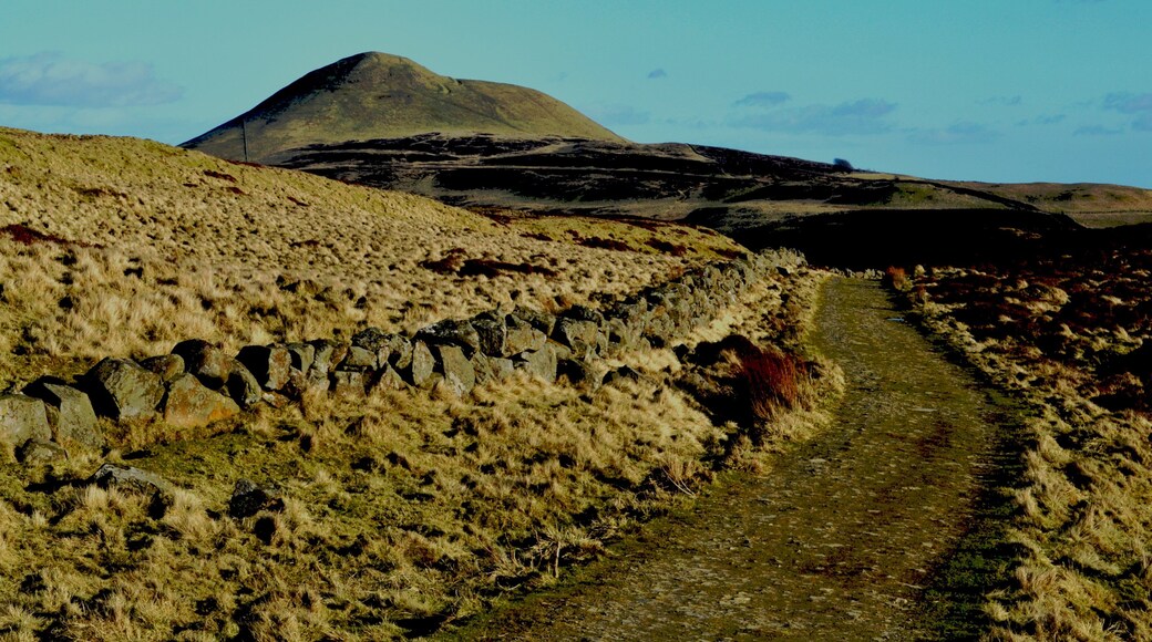 West Lomond a windy february day