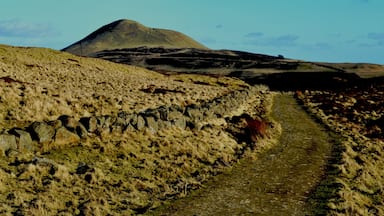 West Lomond a windy february day