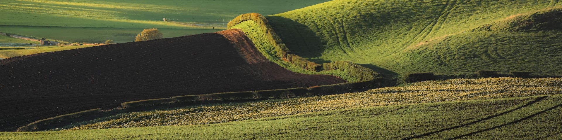 Scenic landscape view of rollimg hills and pastoral countryside farmland in Moonzie near Cupar in Fife, Scotland, UK.