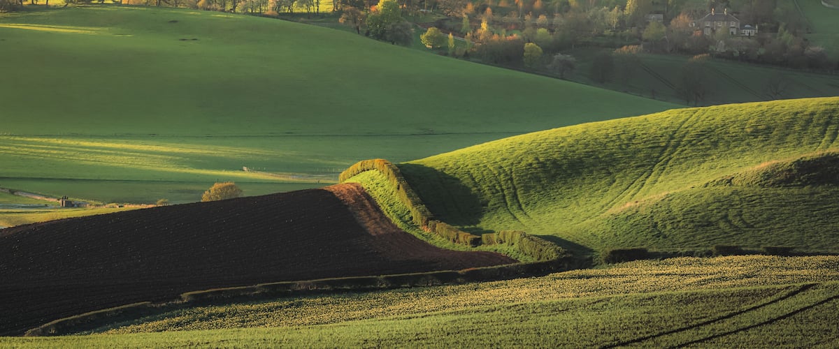 Rolling green hills, a distant house, and a field of yellow flowers.