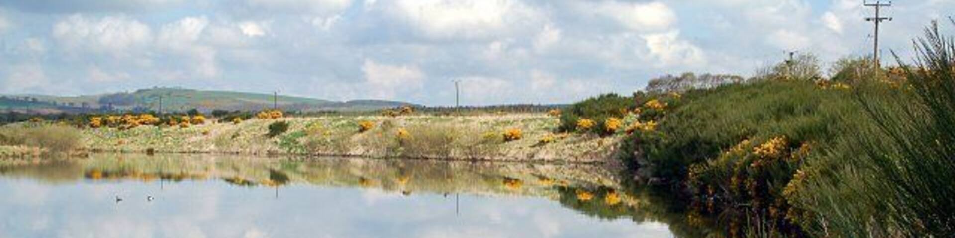 A calm lake with reflections of the sky and surrounding vegetation.