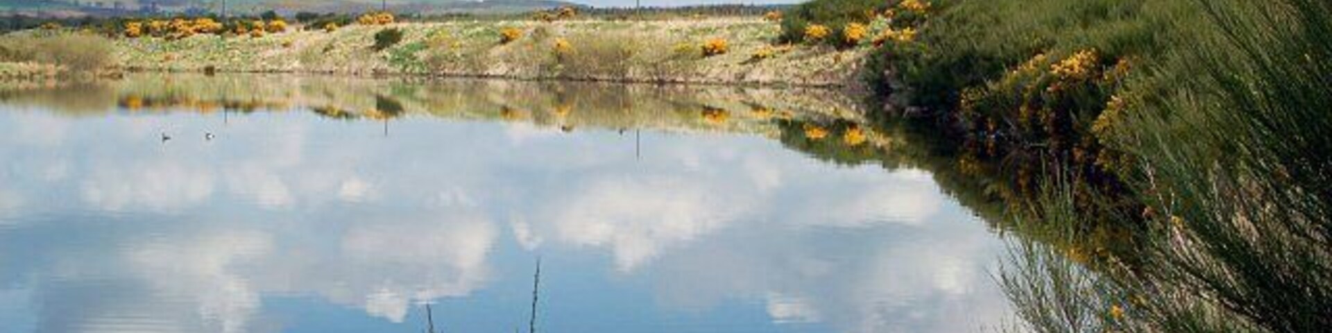 Um lago tranquilo refletindo o céu e a vegetação ao redor.