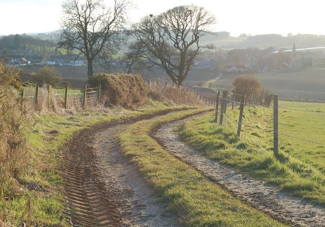 A rural dirt path curving through a grassy field with a fence on one side and trees in the background.
