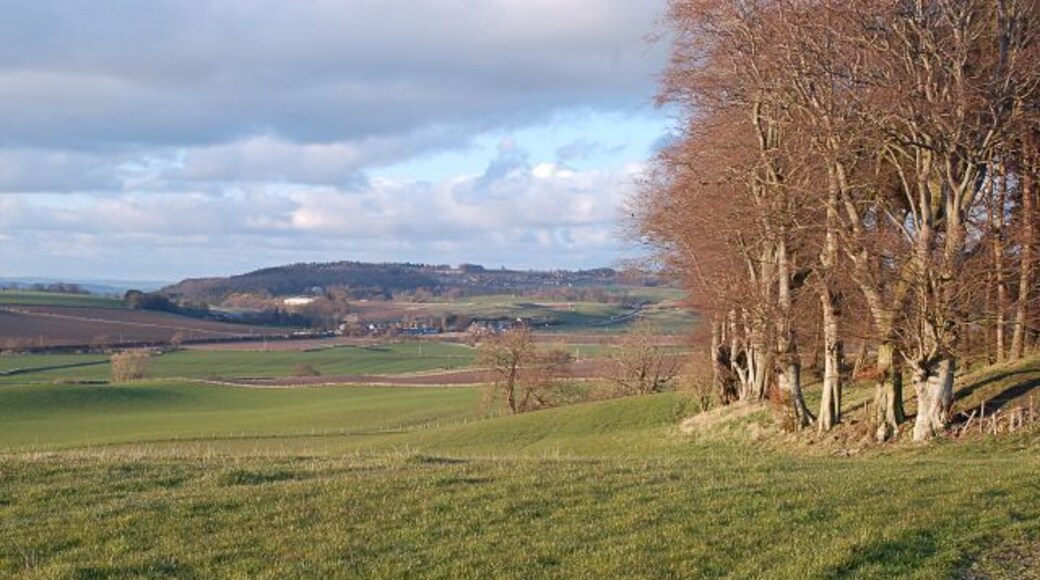 Towards Pitscottie From the very west of the grid.