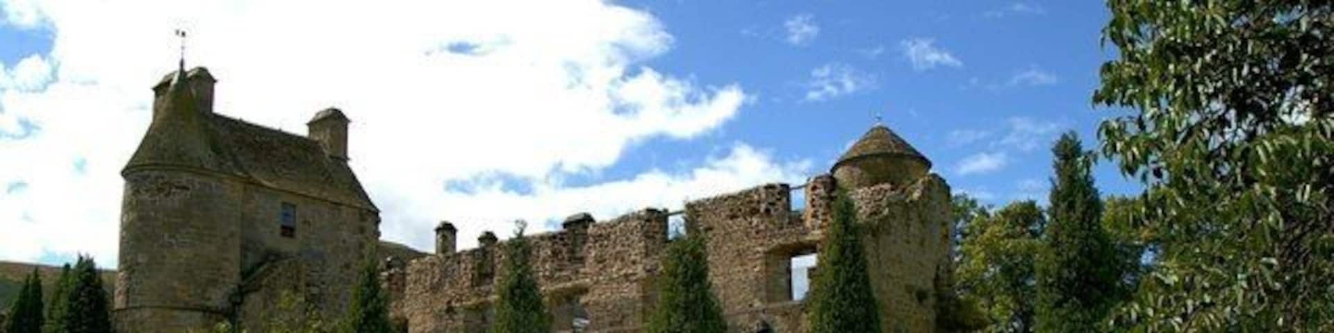 A historic castle with ruins, lush green lawns, and a variety of trees and shrubs.
