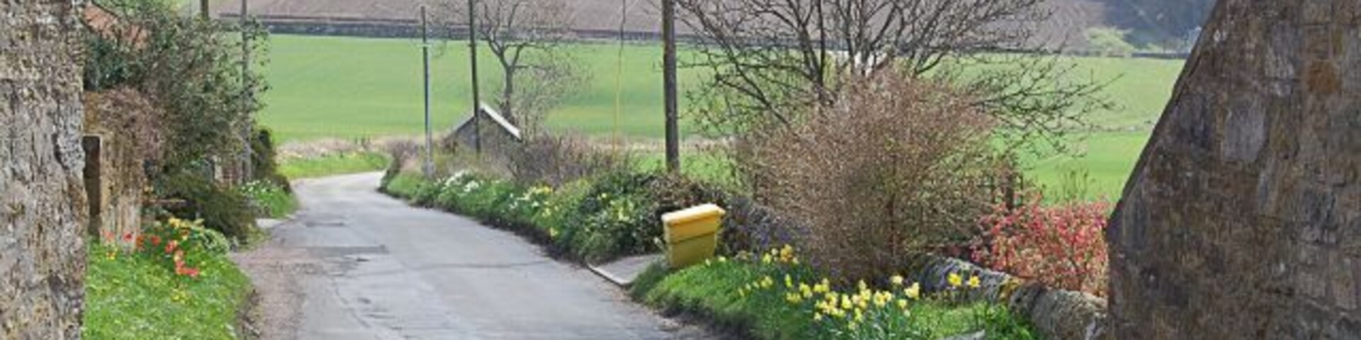 Road into Blebocraigs