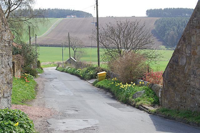 A narrow rural road flanked by stone walls and flowering plants, leading through a hilly landscape.