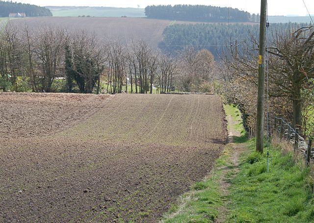Above Blebocraigs Field above Bleobocraigs