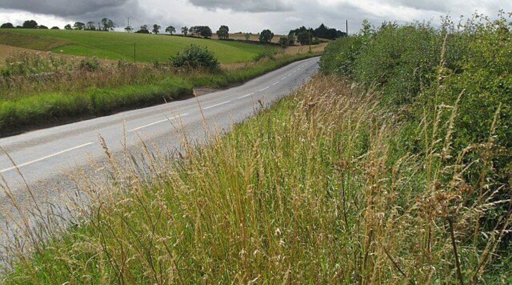 Ceres - Craigrothie road B939 running past Baltilly.