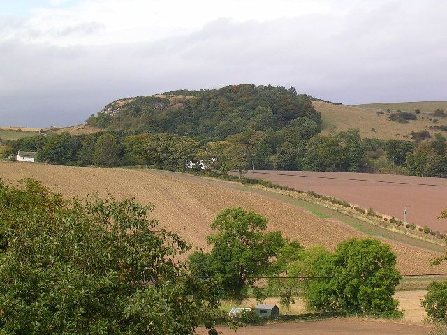 Craiglug northeast of Dairsie. We were taking dog for a walk