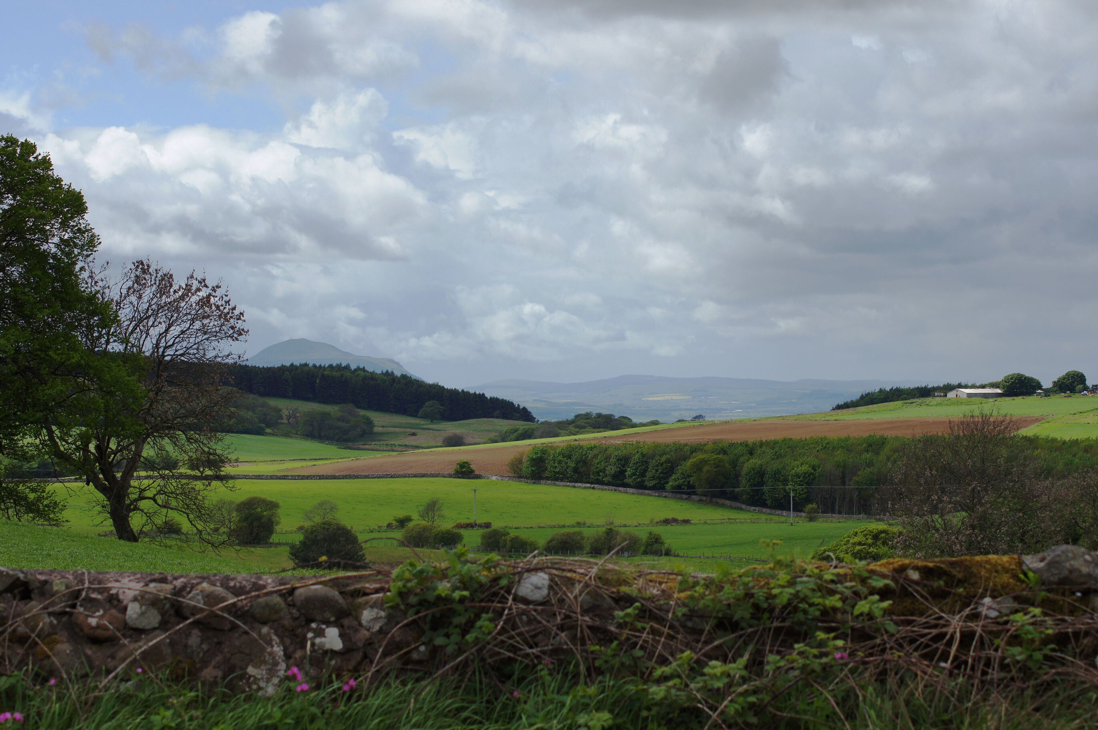 Fife landscape with west Lomond centre left