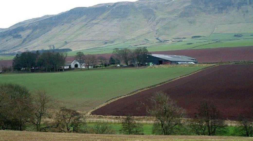Lacesston Farm View South east to Lacesston farm. The West Lomond is in the background.