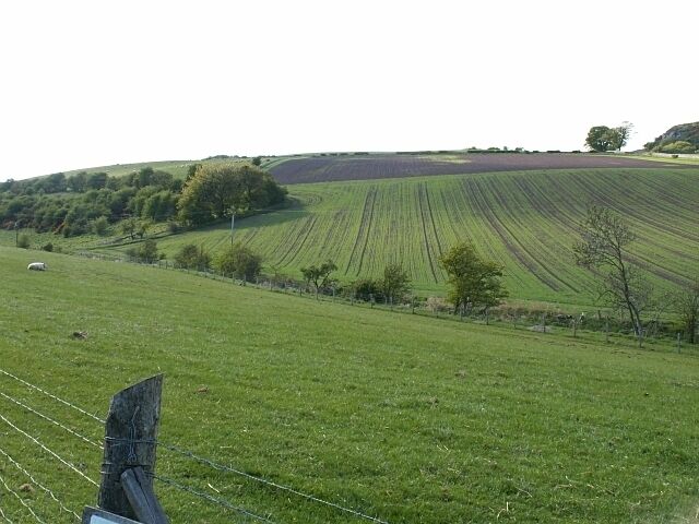 Middlefoodie. Farmland to the west of Dairsie by Middlefoodie