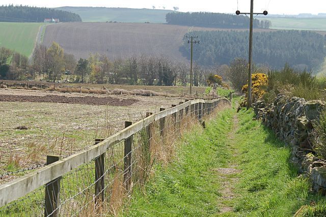 Above Blebocraigs The top end of the short path from Blebocraigs to Flisk.