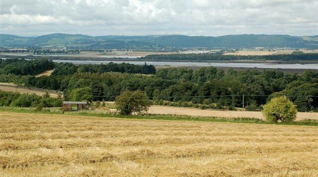 Across The Estuary Looking across the Tay Estuary from Woodriffe Road. Mugdrum Island, in the next square, is in the background.