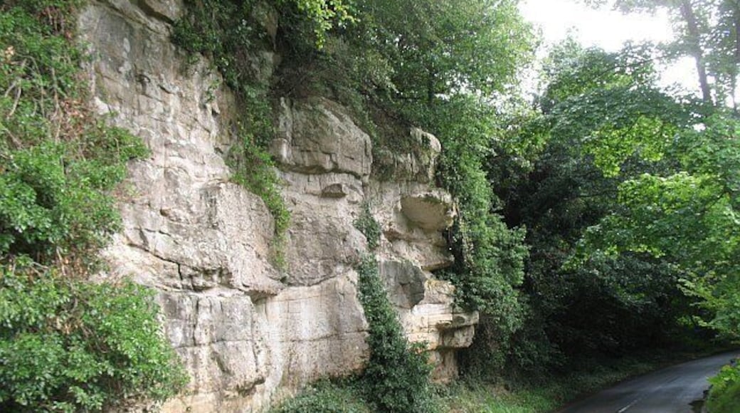 Charlie's Rock This came as a bit of a surprise, a big crag in otherwise gentle scenery. Sadly it is a very soft sandstone, and no good for climbing. The sandstone is part of the Strathclyde Group of Carboniferous age.