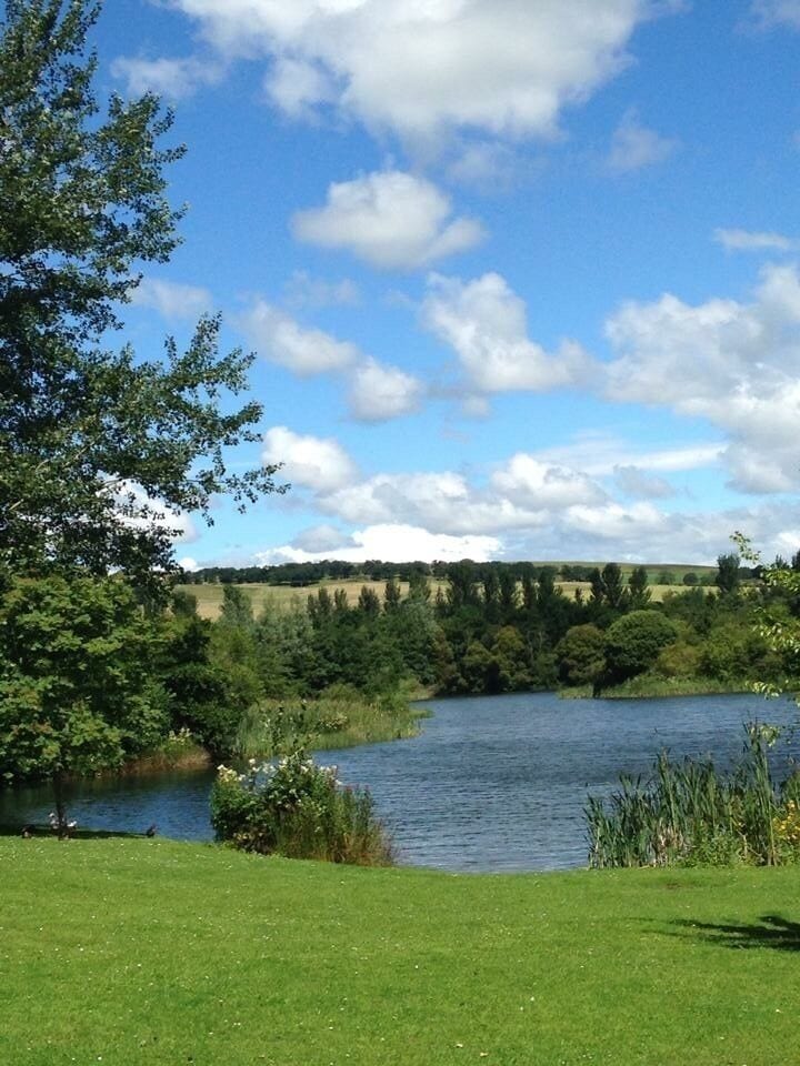 A lake surrounded by greenery and trees under a partly cloudy sky.