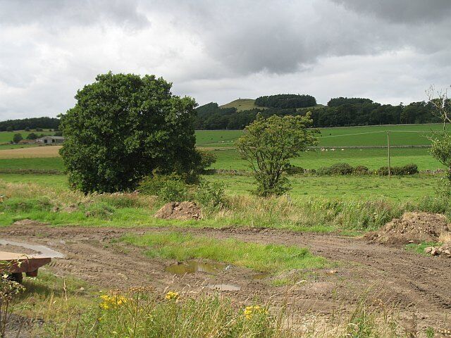 Grassland by the Craigrothie Burn View over grassland towards Hill of Tarvit.