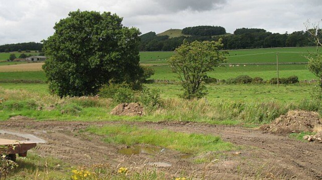 Grassland by the Craigrothie Burn View over grassland towards Hill of Tarvit.