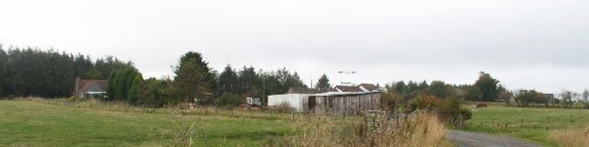 Radernie. Farmland and buildings at Radernie. The track runs between Radernie and Cameron.
