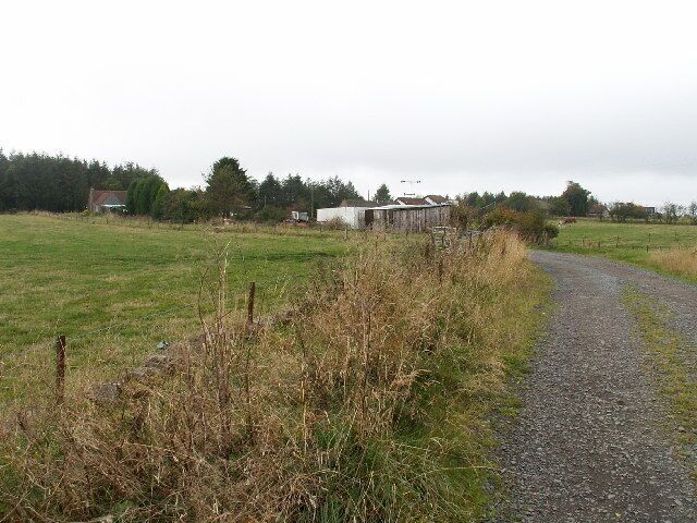 A rural path leading to a farmstead with a barn and a house.
