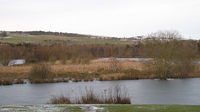 Birnie Loch Reed beds in a former gravel pit, now wildlife refuge.