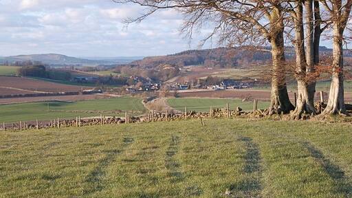 Towards Pitscottie Looking north east towards Pitscottie from the Ceres to Coaltown track.