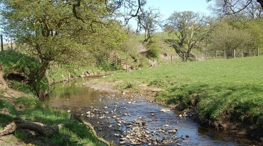 Wilkieston Burn. This small burn flows from Wilkieston Farm about 2kms from here and drains into the Ceres Burn about 500mts behind me. It's not got a large catchment area but has no boggy ground or forestry to soak up any rain fall and with farmland on either side it can rise very quickly in a deluge. Looking up stream from just above the B940