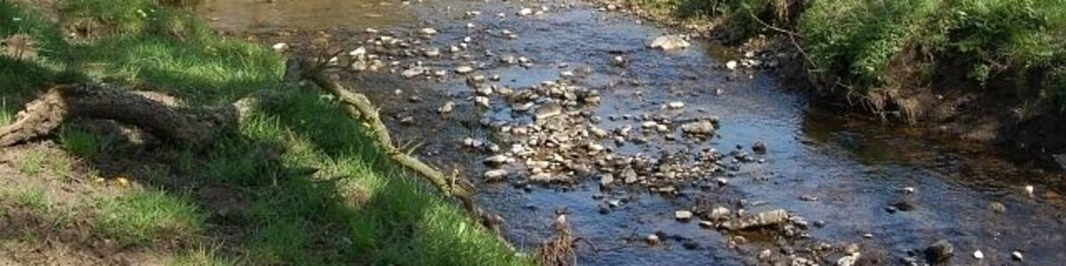 Wilkieston Burn. This small burn flows from Wilkieston Farm about 2kms from here and drains into the Ceres Burn about 500mts behind me. It's not got a large catchment area but has no boggy ground or forestry to soak up any rain fall and with farmland on either side it can rise very quickly in a deluge. Looking up stream from just above the B940