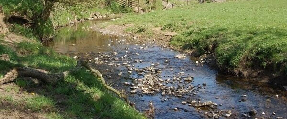Wilkieston Burn. This small burn flows from Wilkieston Farm about 2kms from here and drains into the Ceres Burn about 500mts behind me. It's not got a large catchment area but has no boggy ground or forestry to soak up any rain fall and with farmland on either side it can rise very quickly in a deluge. Looking up stream from just above the B940