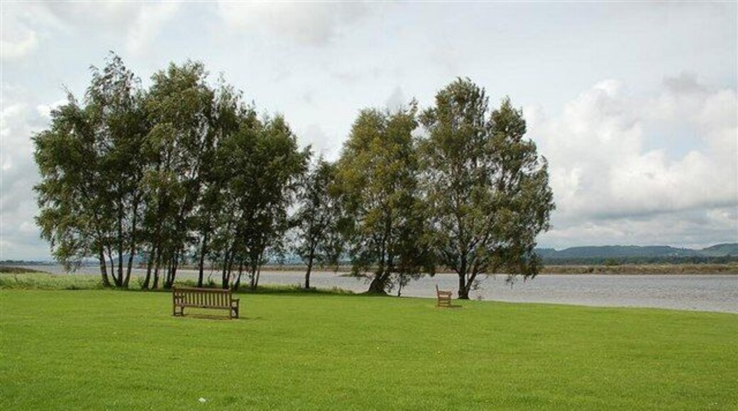 By The Tay Estuary Looking upstream from parkland beside the Tay Estuary at Newburgh.