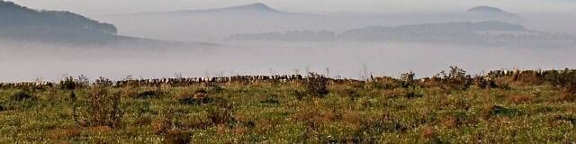 The Lomonds. A view from the high ground above Pitcullo looking west towards the Lomonds several Kms away on a day when the sea harr has moved far inland leaving just the high ground of East Fife above the mist and in brilliant sunshine whilst the rest of the land shivers in near zero temperatures.