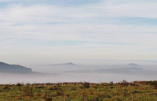 A misty landscape with rolling hills and a grassy foreground.