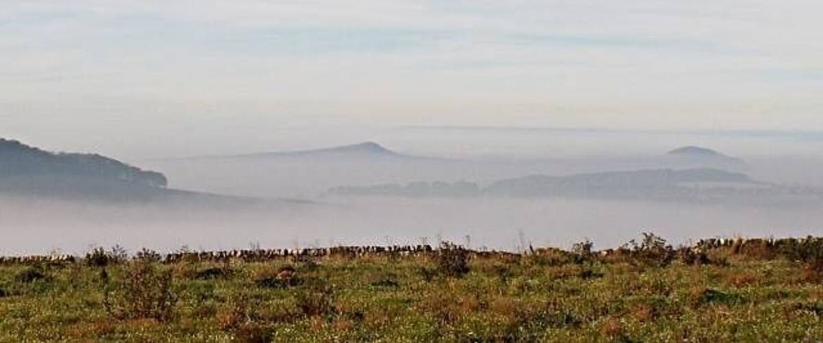 A misty landscape with rolling hills and a grassy foreground.