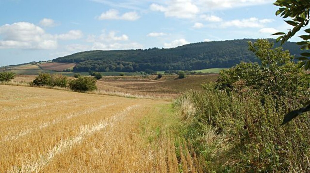 Towards Lydox Mill. From the west edge of the square near the Manse looking towards Lydox Mill and the Aberdeen to London line.