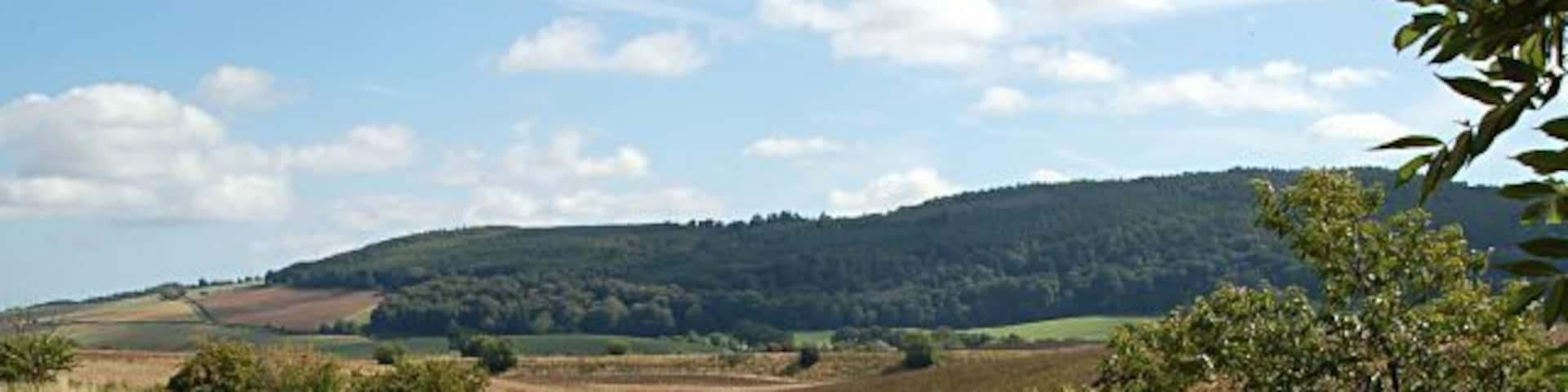 Towards Lydox Mill. From the west edge of the square near the Manse looking towards Lydox Mill and the Aberdeen to London line.