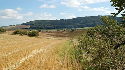 Towards Lydox Mill. From the west edge of the square near the Manse looking towards Lydox Mill and the Aberdeen to London line.