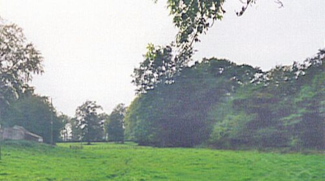 Boggy field west of Myres Castle This field was historically much more boggy until field drains were installed. In earlier times Myres Castle controlled more extensive land holdings all around this area.