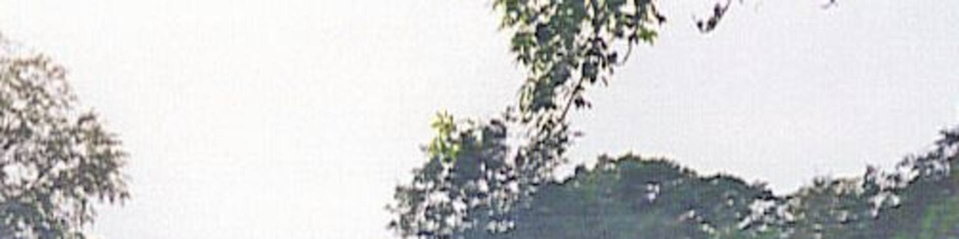 Boggy field west of Myres Castle This field was historically much more boggy until field drains were installed. In earlier times Myres Castle controlled more extensive land holdings all around this area.