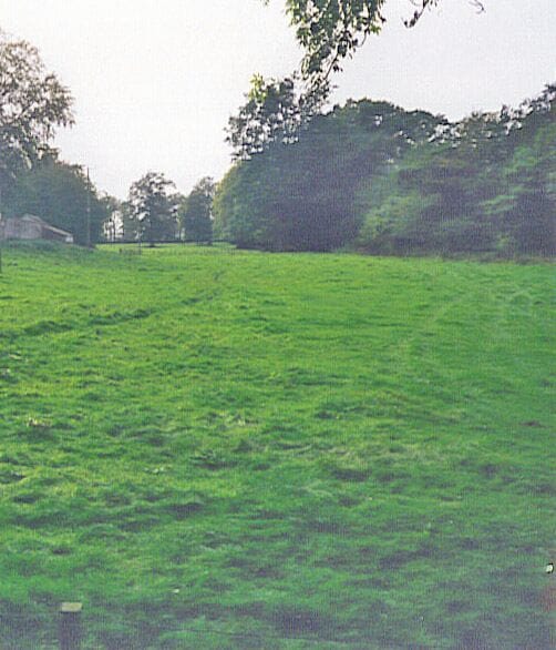 A grassy field with trees in the background.