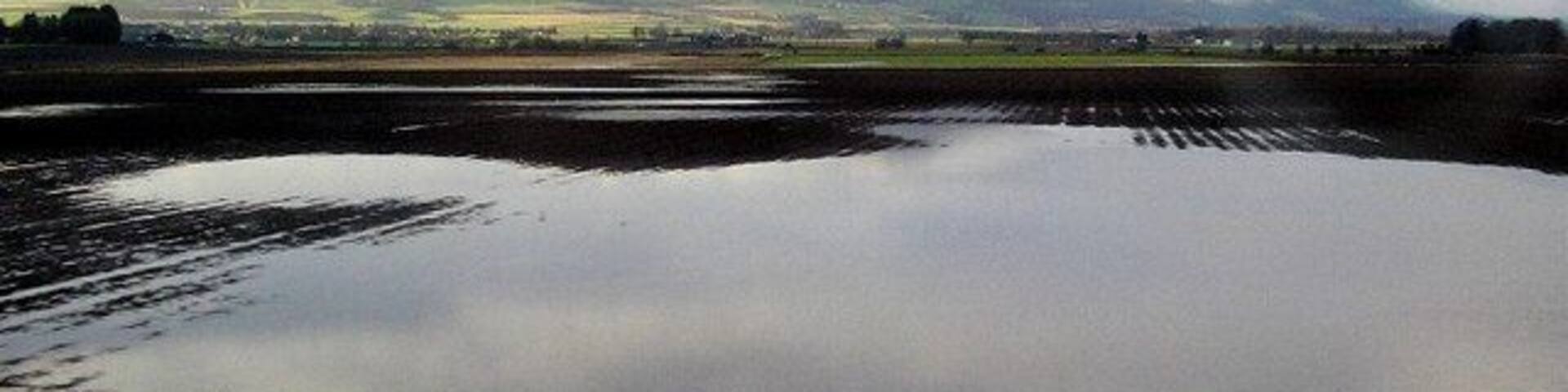Flooded fields Flooded fields following heavy January rain in the foreground, with the Lomond hills in the background. Taken from the train with the village of Freuchie disappearing to the left.