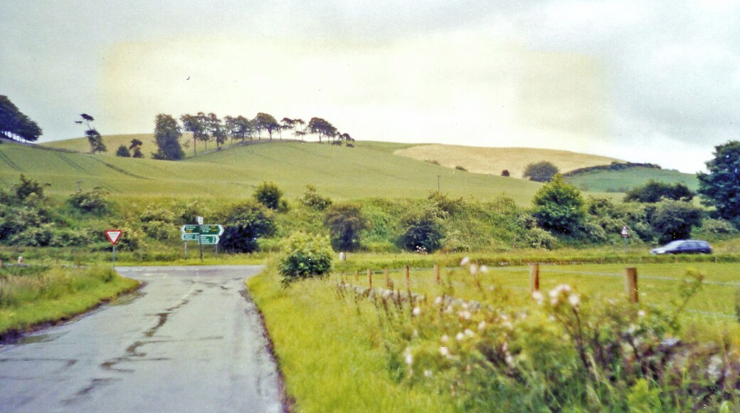 Site of former Luthrie station. View eastward off A913 road. Ahead ran the ex-NBR Newburgh (Glenburne Junction) (to right) - (to left) St Fort branch, closed 12/2/52 to passengers, 5/10/64 to goods.