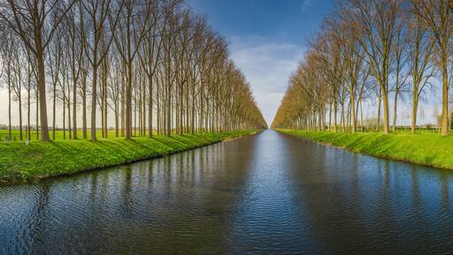 Un canal bordé de rangées d’arbres sans feuilles, sous un ciel dégagé.