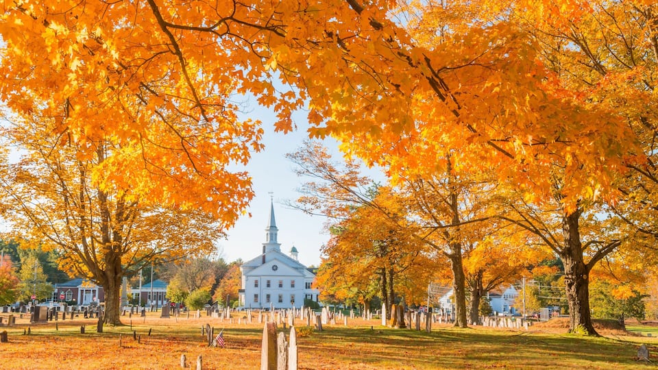 A cemetery with orange trees and a white church in the background.