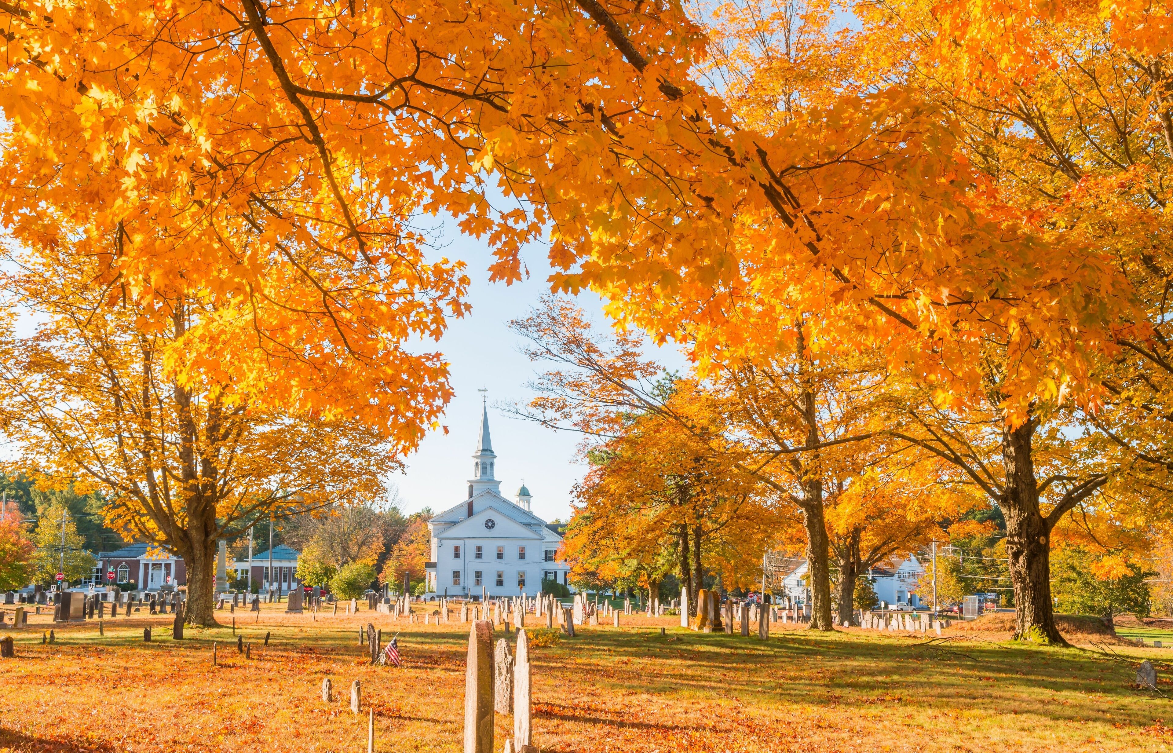 A cemetery with orange trees and a white church in the background.