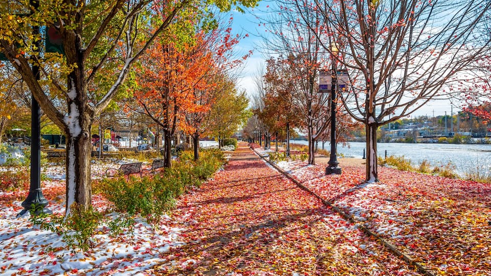 A tree-lined pathway with autumn leaves and snow on the ground.
