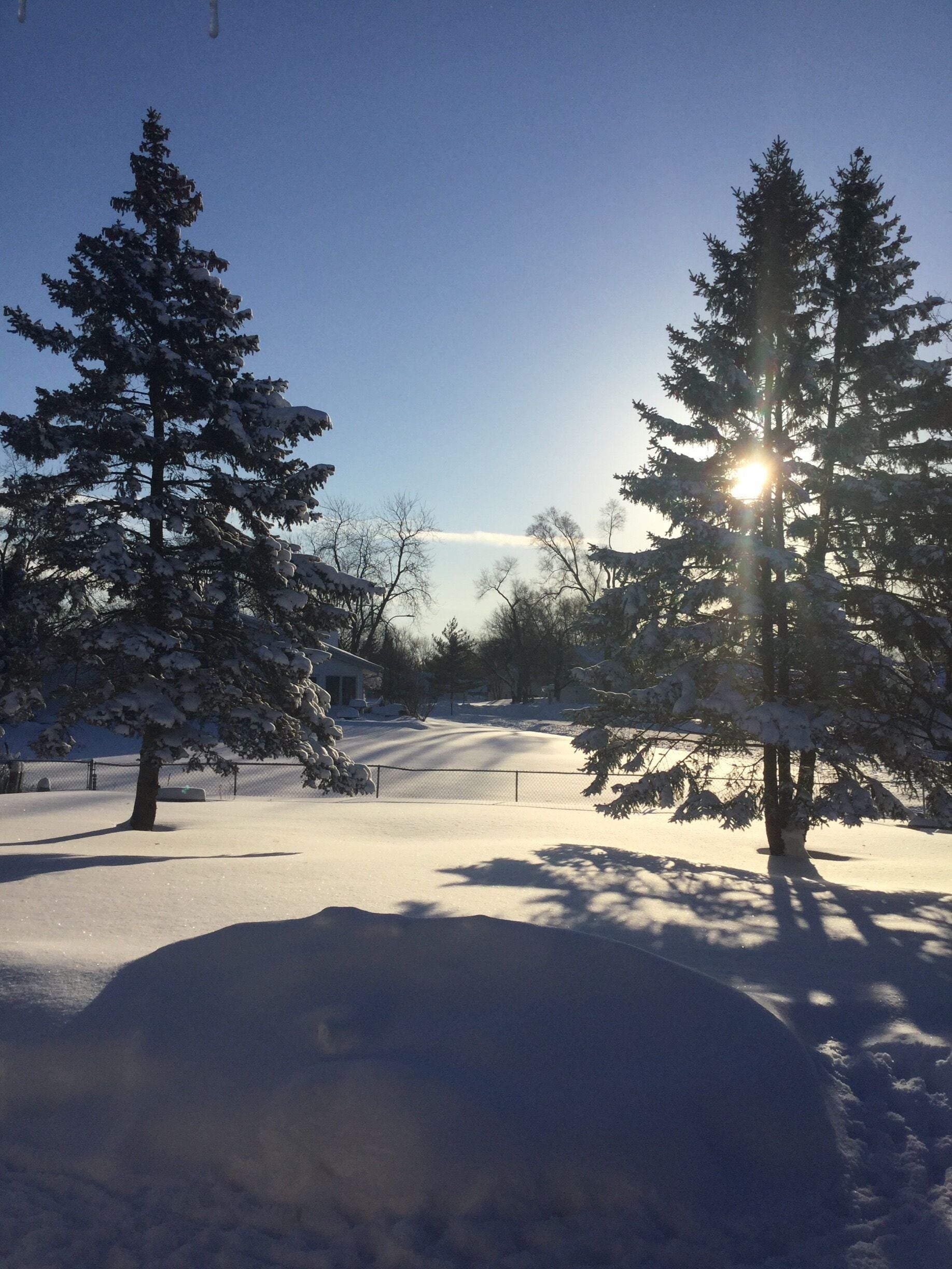 My backyard this morning after about 18 inches of snow.
