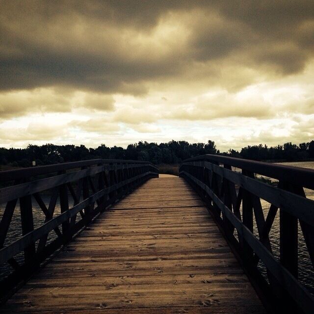 Summer time runs through the forest preserve