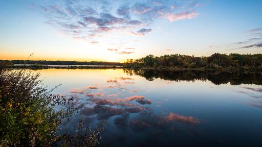 Burrage Pond Wildlife Management Area at sunset in fall in Hanson, Massachusetts, USA